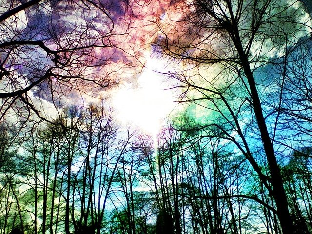 ANL Bookkeeping & Payroll Solutions Inc Logo